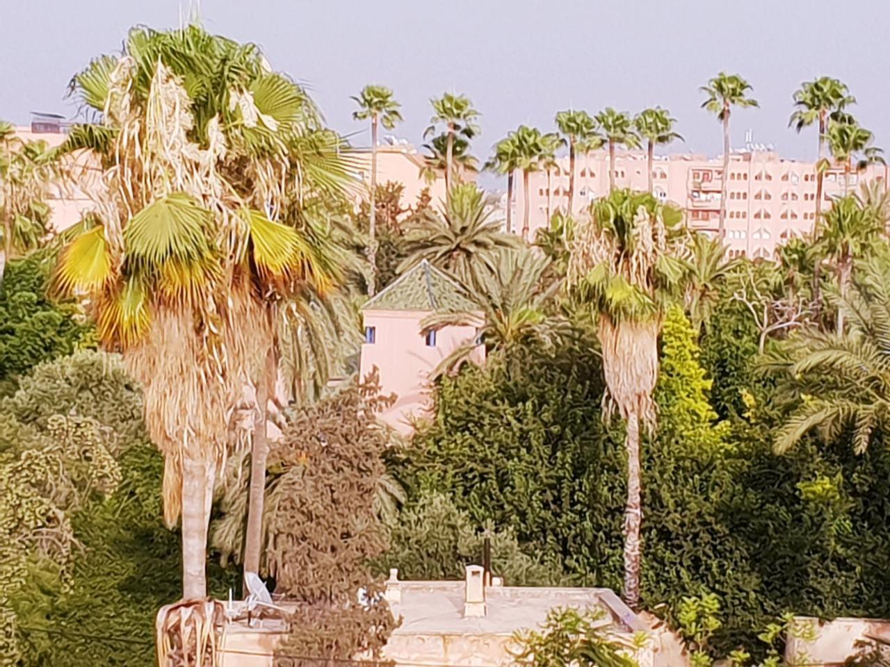 Sabor Apartment Anas Majorelle Marrakesch Exterior foto